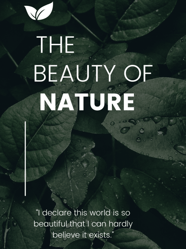 Beautifully Crafted Nature Quotes for Instagram Story