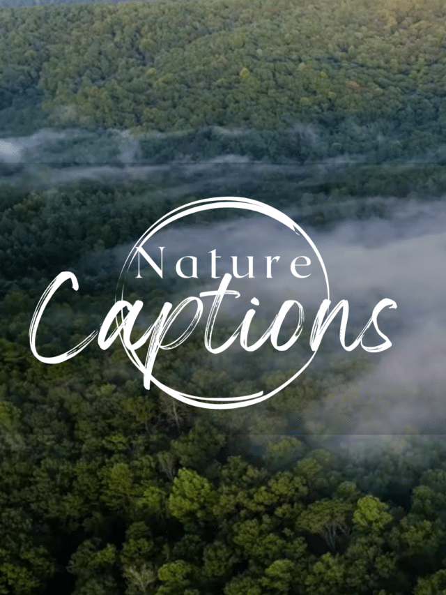 10 Nature Captions for Instagram Reels, Posts and Stories