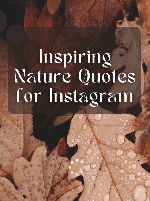 Inspiring Nature Quotes and Captions for Instagram